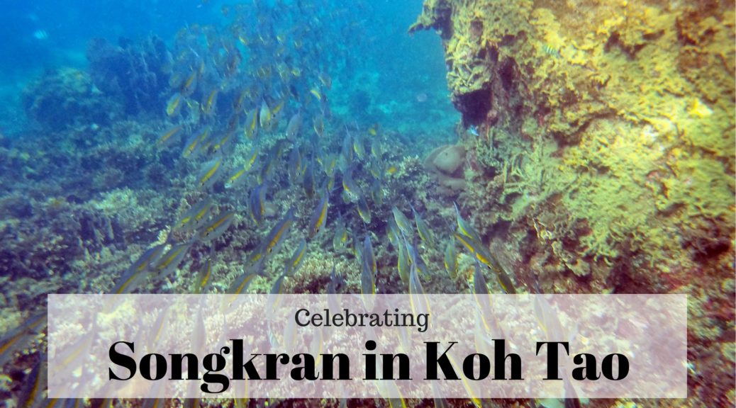 Celebrating Songkran in Koh Tao with snorkeling photo of fish