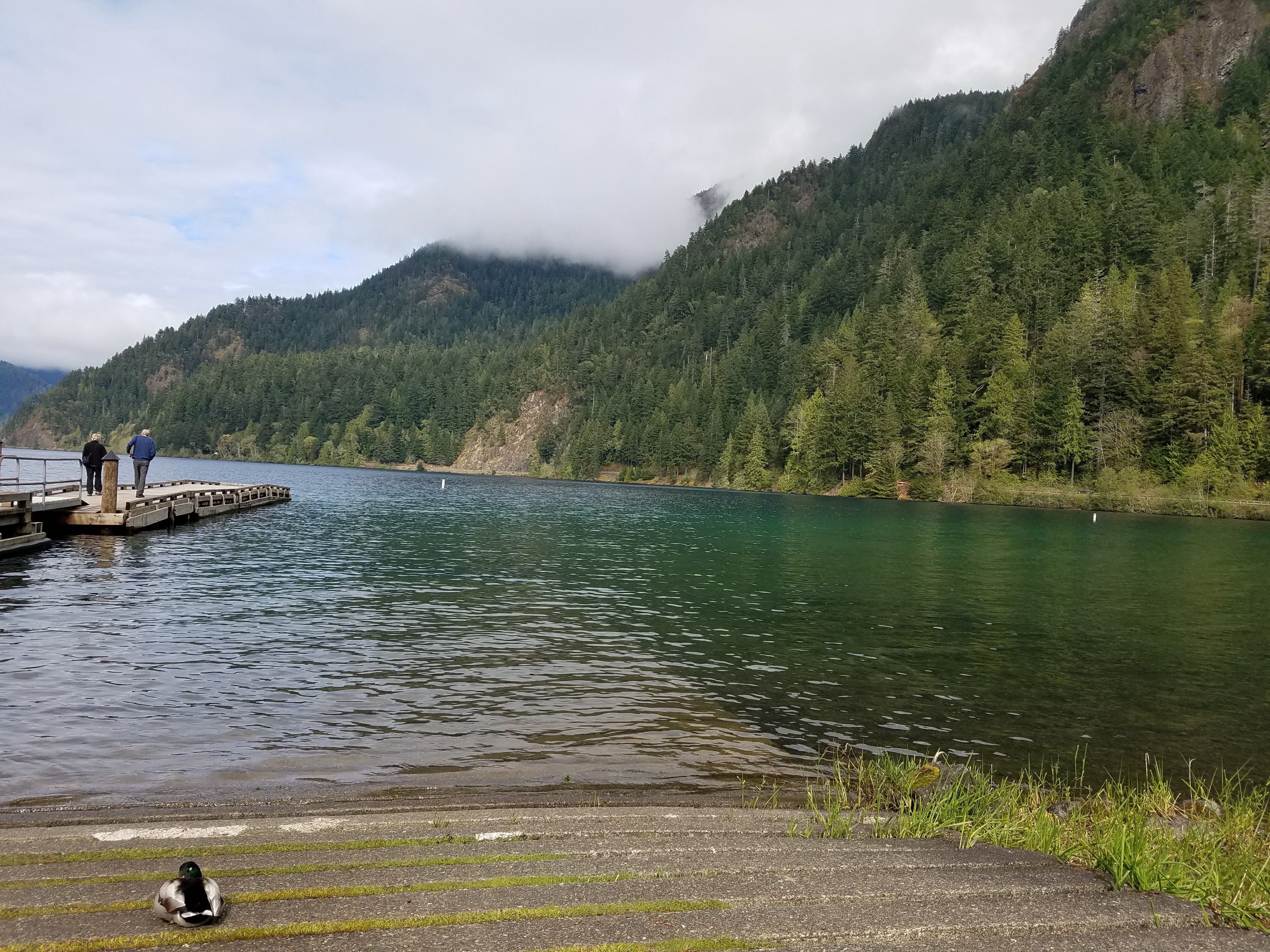 Crescent Lake in Olympic National Park - view of a dock, a duck, and cloudy mountains