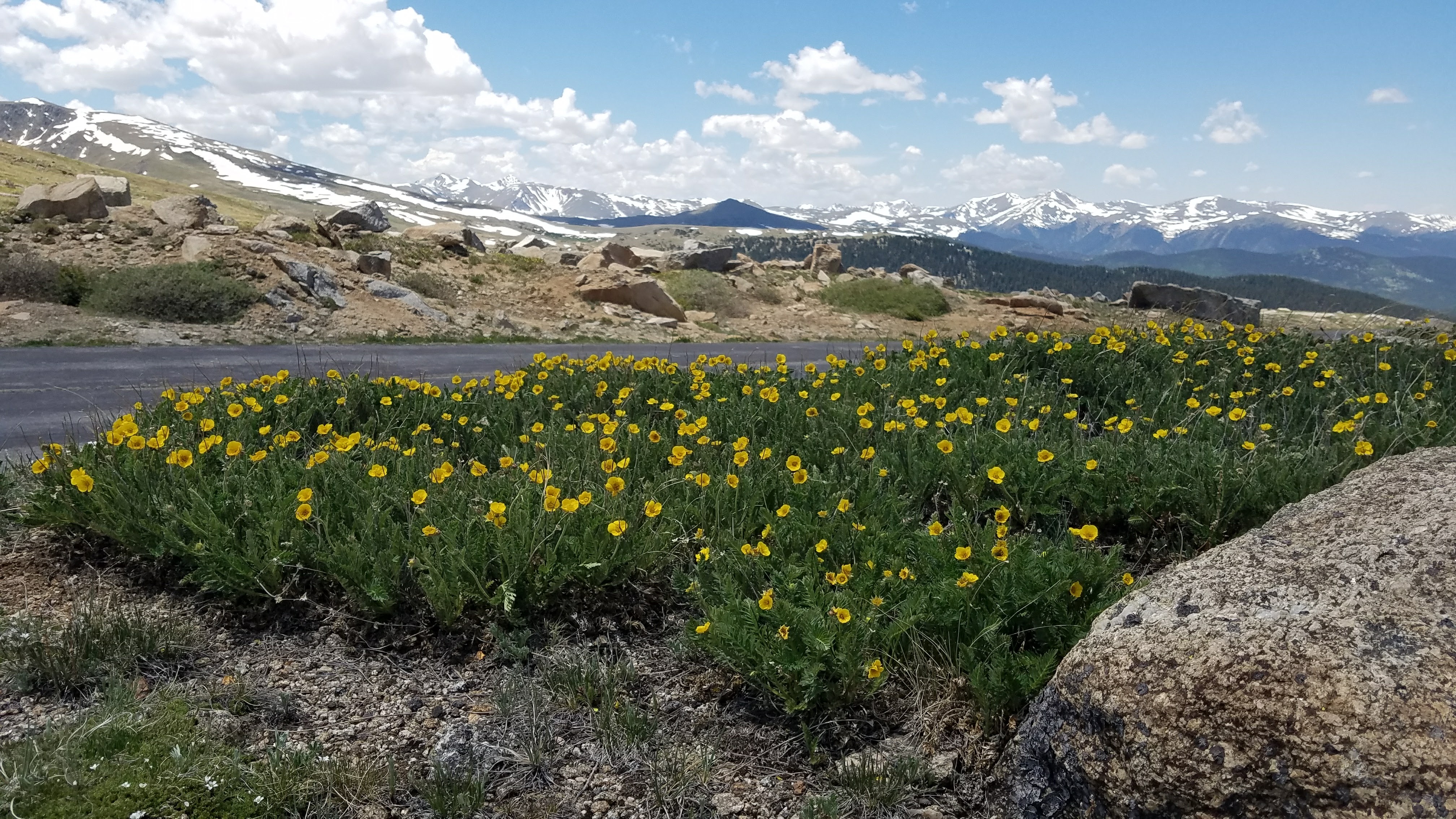 Colorado is the best for its scenic drives - Mount Evans