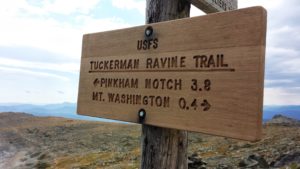 USFS sign for tuckerman ravine trail